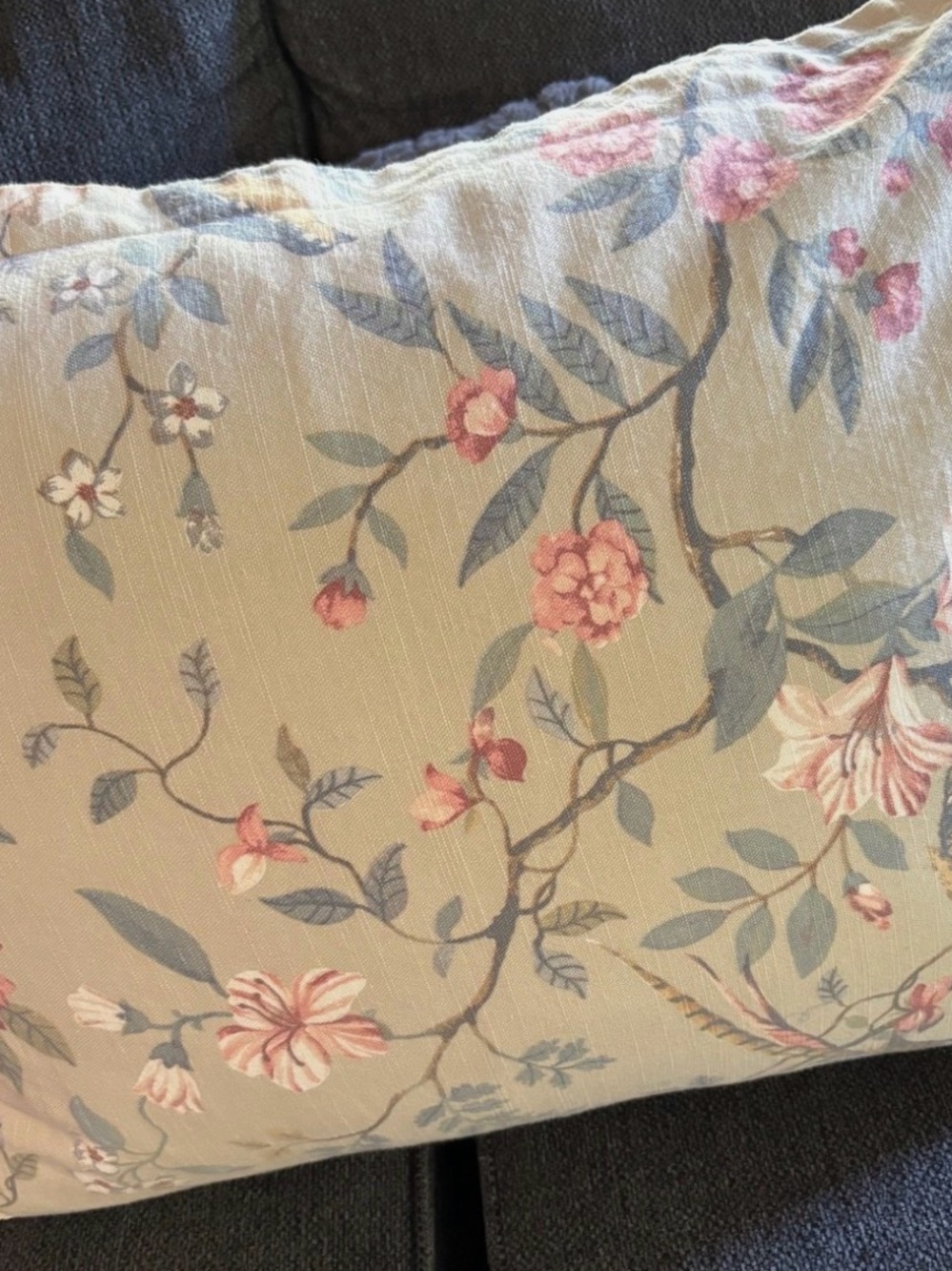 Chinoiserie Floral Accent Standard Queen Pillow Cover in Blush and Sage